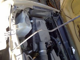 2019 TOYOTA TACOMA, TAN, TRD SPORT MODEL, CREW CAB, 3.5L, AT, 2WD.  Z26317